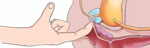 Cetrorelix purchase | Shaanxi BLOOM Tech Co., Ltd Cetrorelix purchase | Shaanxi BLOOM Tech Co., Ltd