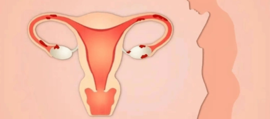 Cetrorelix Academic Value | Shaanxi BLOOM Tech Co., Ltd Cetrorelix Academic Value | Shaanxi BLOOM Tech Co., Ltd