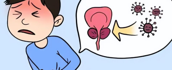 Triptorelin Cost | Shaanxi BLOOM Tech Co., Ltd Triptorelin Cost | Shaanxi BLOOM Tech Co., Ltd